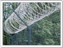 Razor Barbed Wire Fence